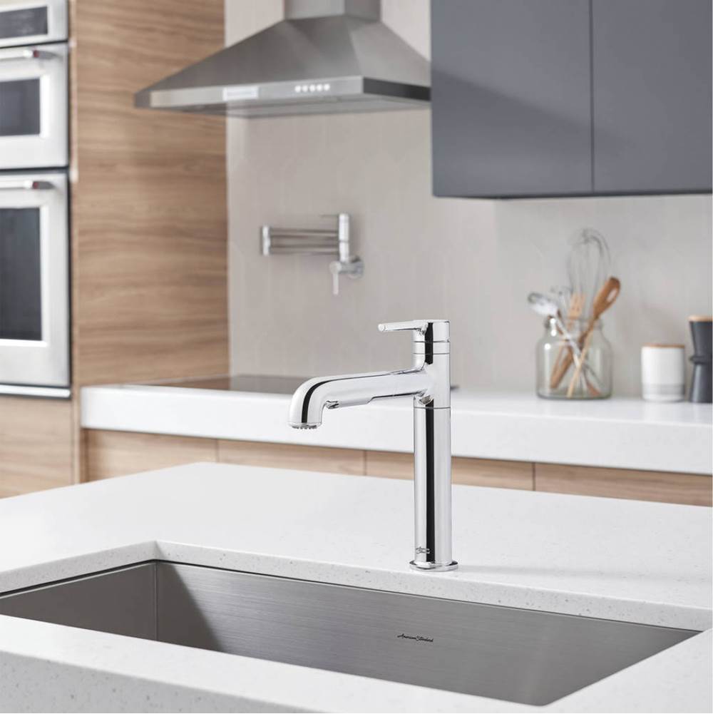 American Standard Pull Out Faucet Kitchen Faucets item 4803100.075
