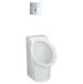 American Standard - 6043001EC.020 - Commercial Urinals