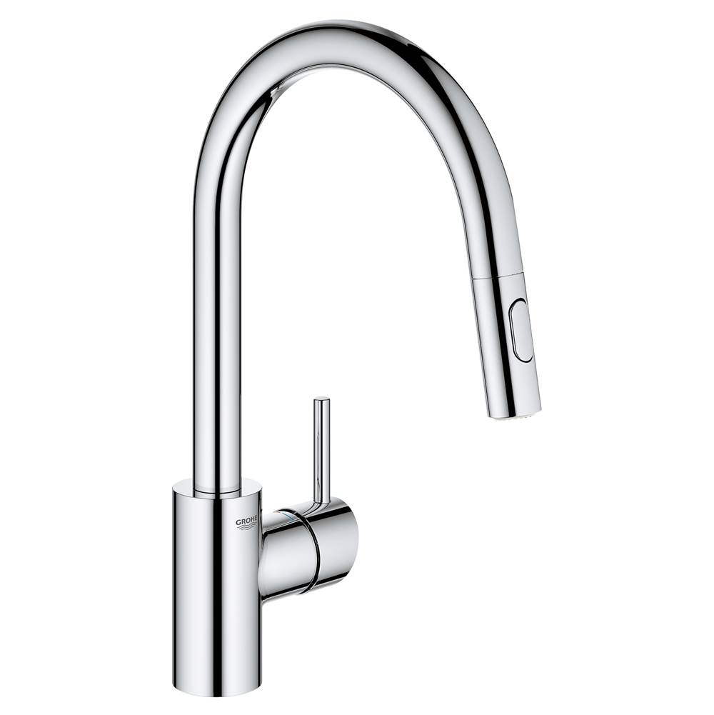 Grohe  Kitchen Faucets item 3134910E