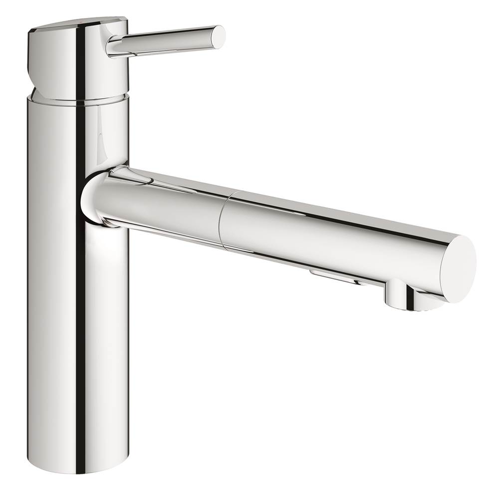 Grohe Retractable Faucets Kitchen Faucets item 31453001
