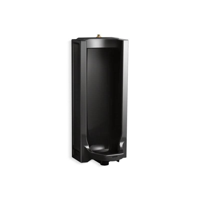 Algor Plumbing and Heating SupplyKohlerBranham™ Full stall washdown urinal with top spud