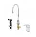 T And S Brass - B-2743 - Single Hole Kitchen Faucets