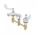 T And S Brass - B-2990-WH4-VF05 - Widespread Bathroom Sink Faucets